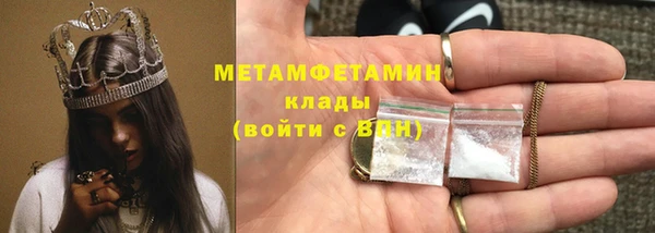прущие грибы Абинск