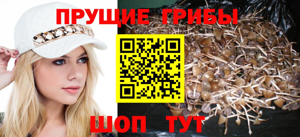 Белая Калитва  Галлюциногенные грибы Magic Shrooms  Вход с VPN  Галлюциногенные грибы GOLDEN TEACHER 